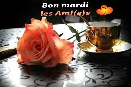 Mardi 12 juin