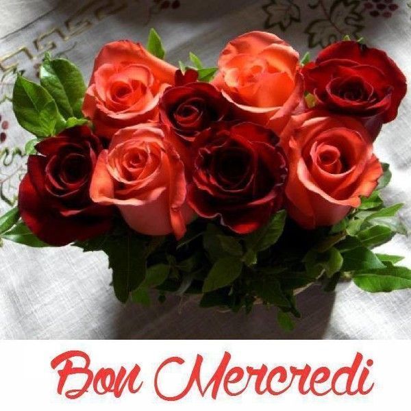 Mercredi 6 juin